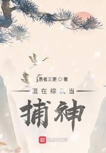混在综武当捕神