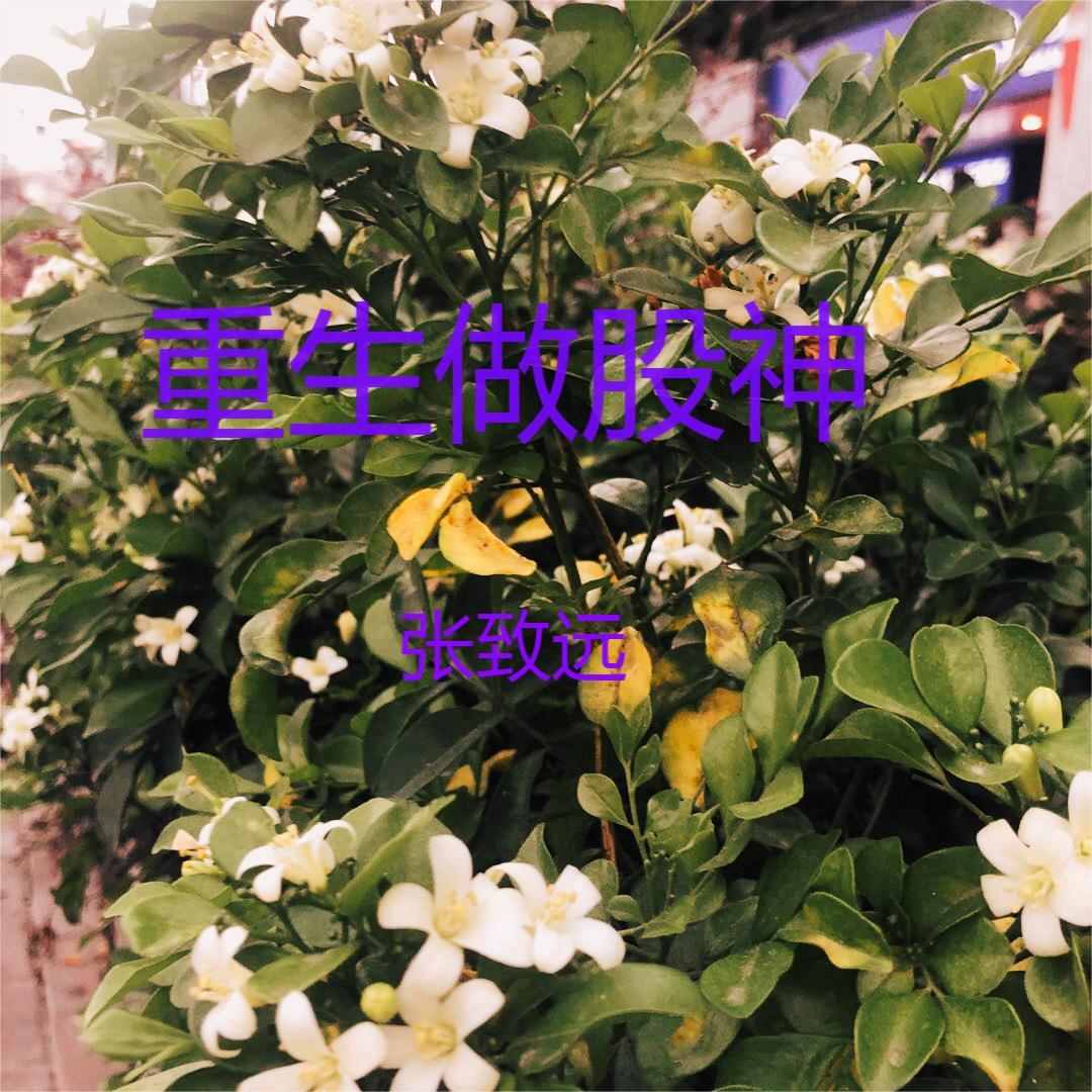 重生做股神周雨晴的小说