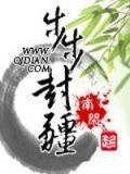 步步封疆叶之然