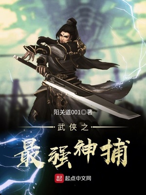 武侠之最强神捕 小说