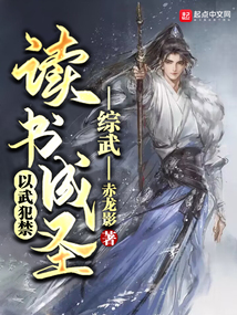 综武:读书成圣,以武犯禁 作者:赤龙影