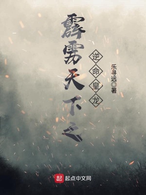 霹雳天命之逆命皇龙