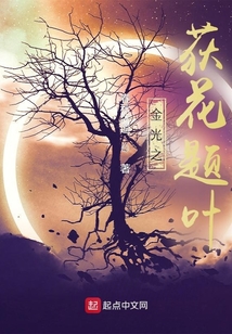金光布袋戏荻花题叶