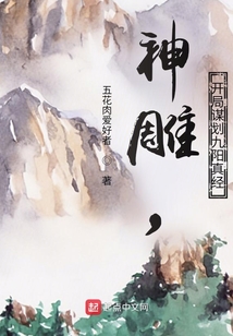 神雕之九阴真经的小说