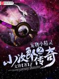 宠物小精灵之小次郎传奇百度云下载