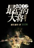 海贼王之最后的大将 小说