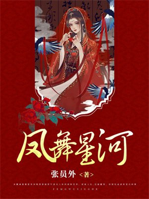 凤舞星河小说