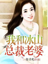 我和冰山总裁老婆全文免费阅读
