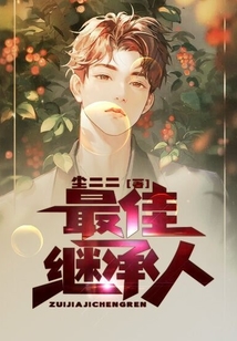 最佳继承人txt