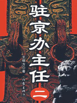 驻京办主任（二）