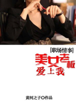 女老板爱上自己的员工是什么电视剧