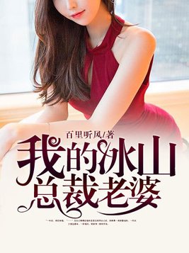 我的冰山总裁老婆