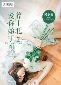 爱你始于南,葬于北讲的什么