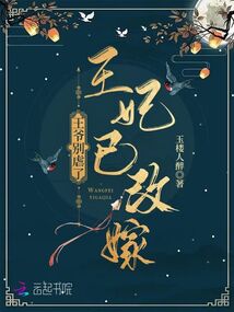 王爷别虐了王妃已改嫁免费阅读