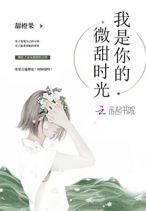 我是你们偷走时光的贼