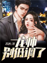 龙帅,别低调了! 苏酒