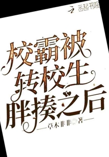 校霸被转校生胖揍之后