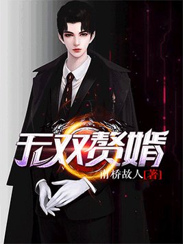 无双赘婿续集