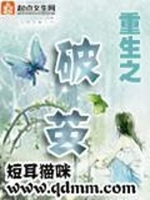 重生之破茧桃乐儿全文免费阅读