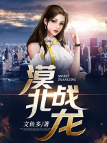 漠北战龙 小说