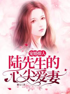 陆爷心尖宠妻陆慕深全文免费阅读