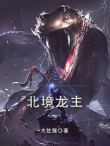 北境龙主宁风小说完整版阅读