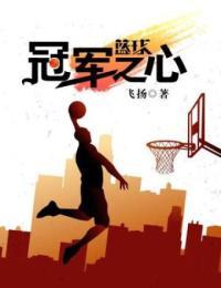 篮球之冠军之心TXT八零