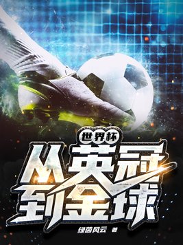 世界杯：从英冠到金球