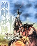 巅峰神迹-王小凡_读趣