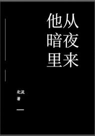 他从暗夜里来 北流