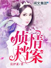 侦情档案小说一共几部