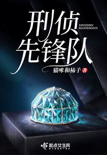 刑侦支队先进集体事迹材料
