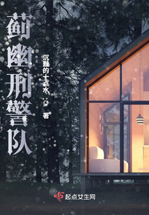 蓟幽刑警队
