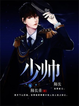 少帅 电视剧