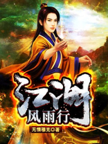江湖风雨行小说