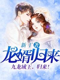 龙婿归来1至66集免费观看