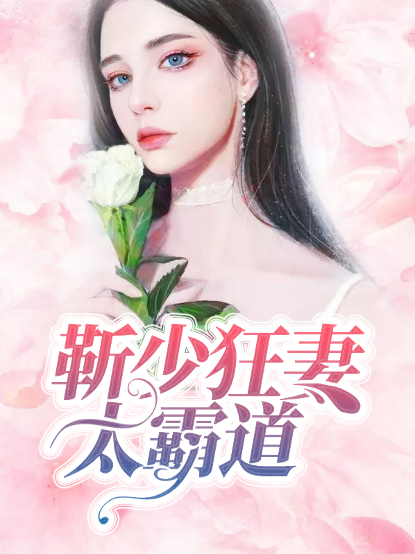 靳少宠妻太霸道