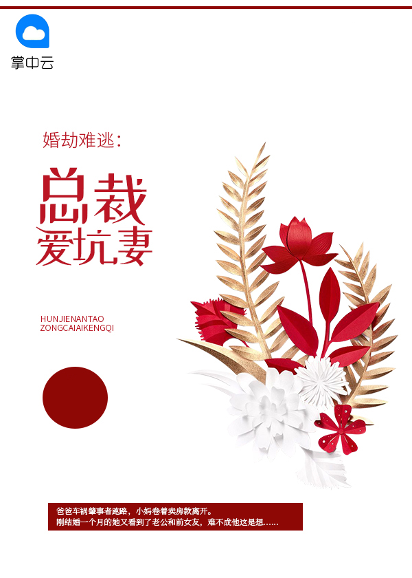 婚劫难逃:总裁爱坑妻免费阅读