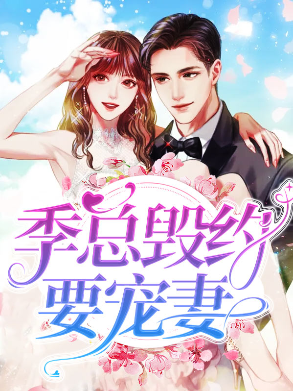 男主叫季总的小说