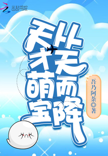 天才萌宝从天而降免费阅读