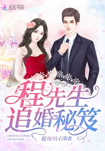 程先生是谁