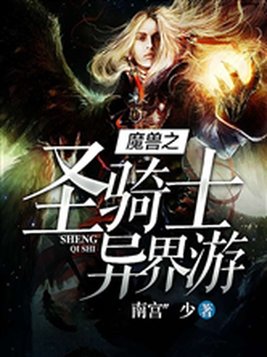 魔兽之圣骑士异界游戏攻略