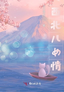 西北儿女情小说全文免费阅读