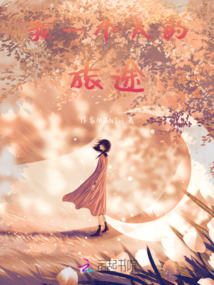 我一个人的旅途歌词