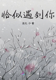 恰逢遇见你