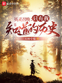 英灵召唤:只有我知道的历史 小说