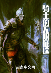 骑士的无限征途147
