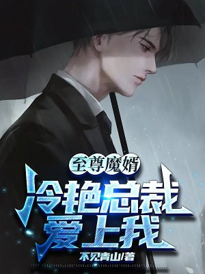 冷艳总裁的至尊兵王