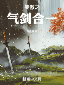 笑傲之气剑合一小说