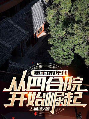 重生80年代从四合院开始崛起免费阅读